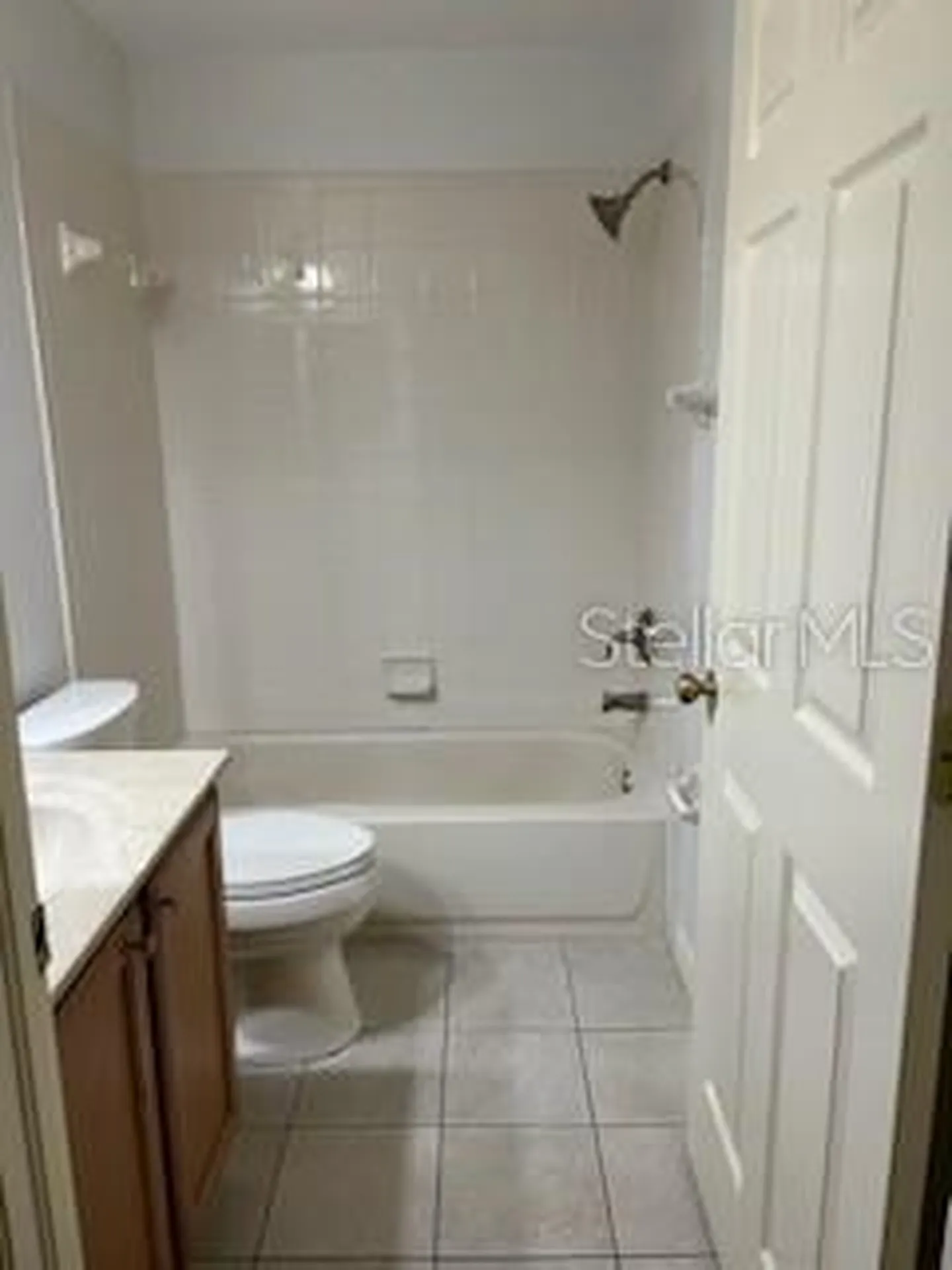 19407 Sandy Springs Circle Lutz FL 33558