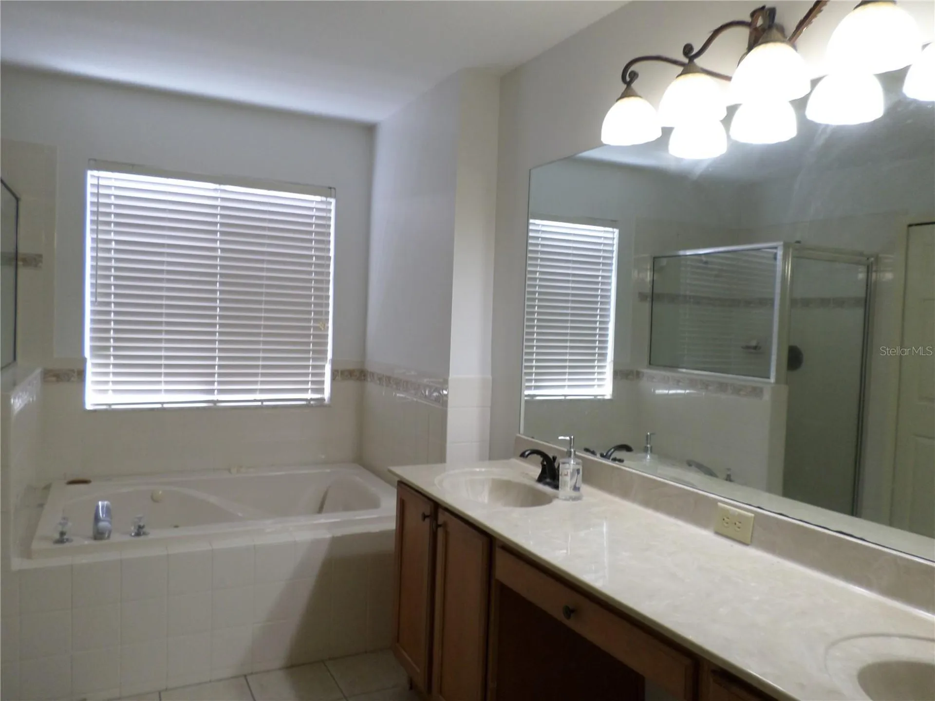 19407 Sandy Springs Circle Lutz FL 33558
