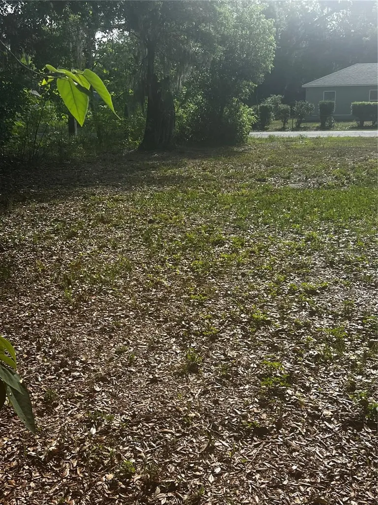 1109 Stinson Street Leesburg FL 34748