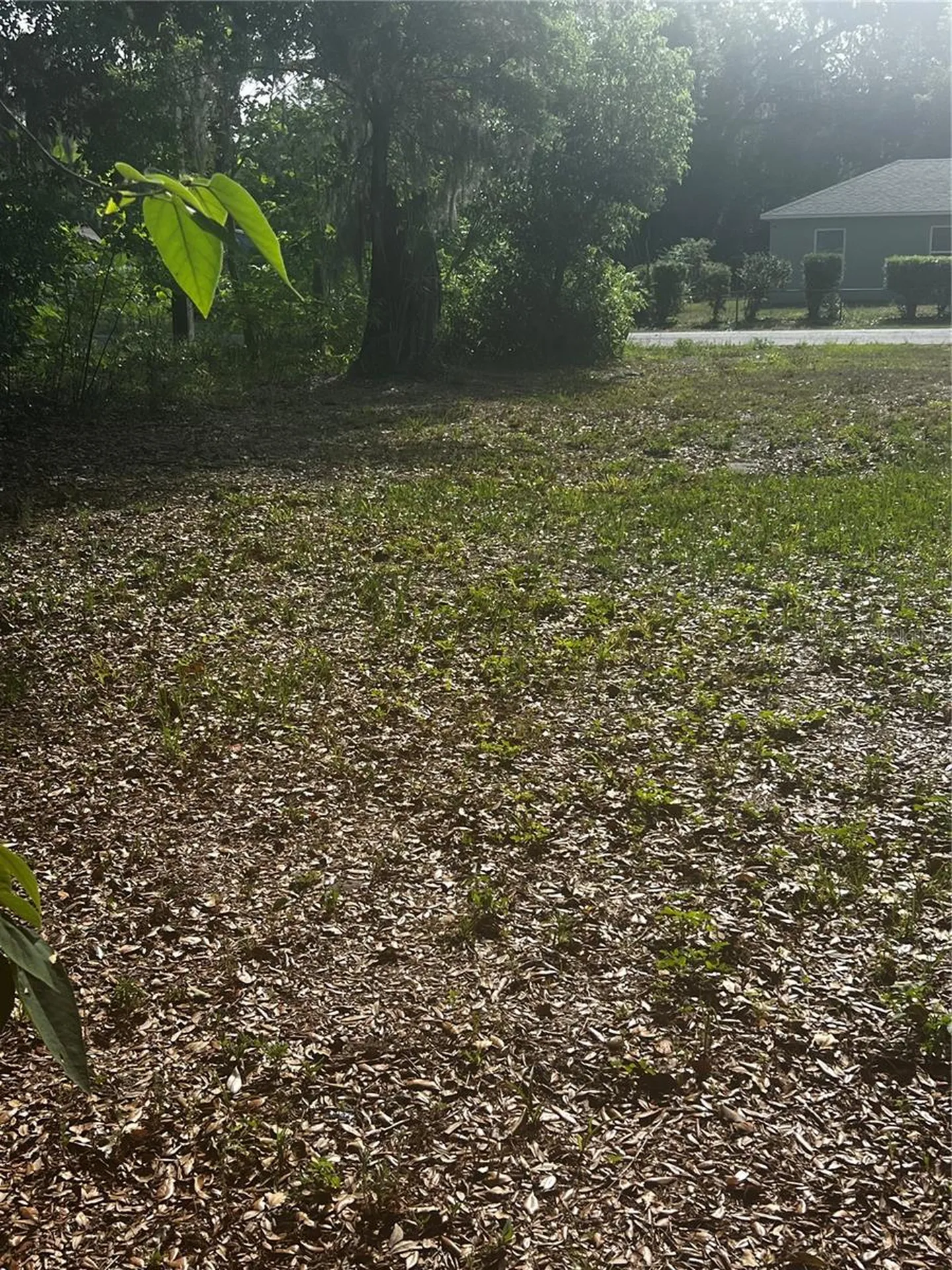 1109 Stinson Street Leesburg FL 34748