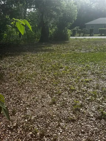 1109 Stinson Street Leesburg FL 34748