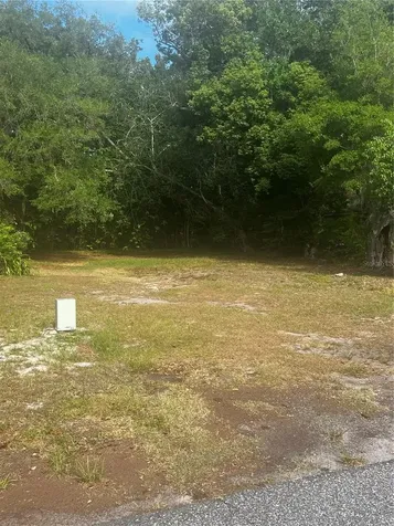 1109 Stinson Street Leesburg FL 34748