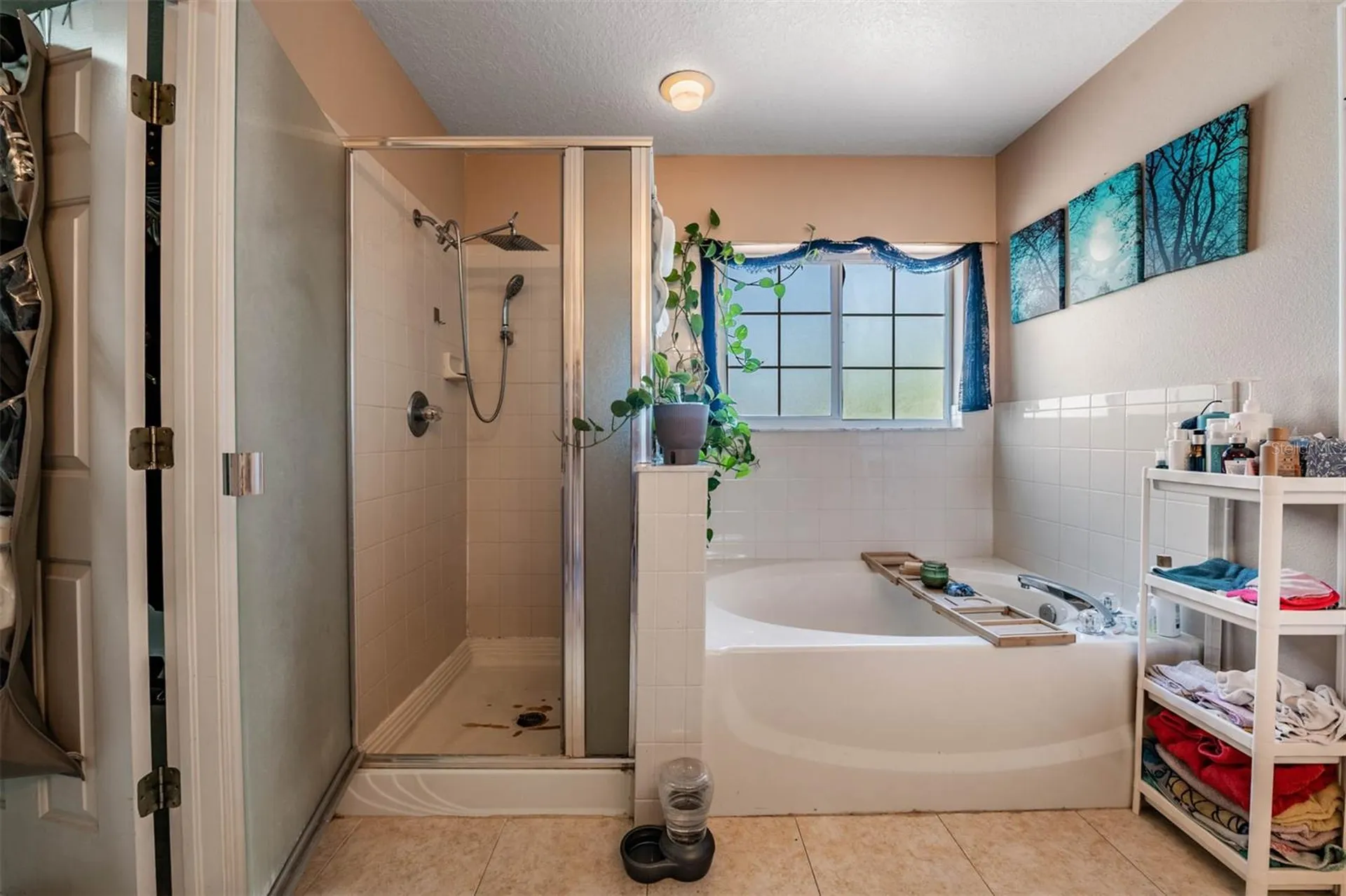 10945 Subtle Trail Drive Riverview FL 33569