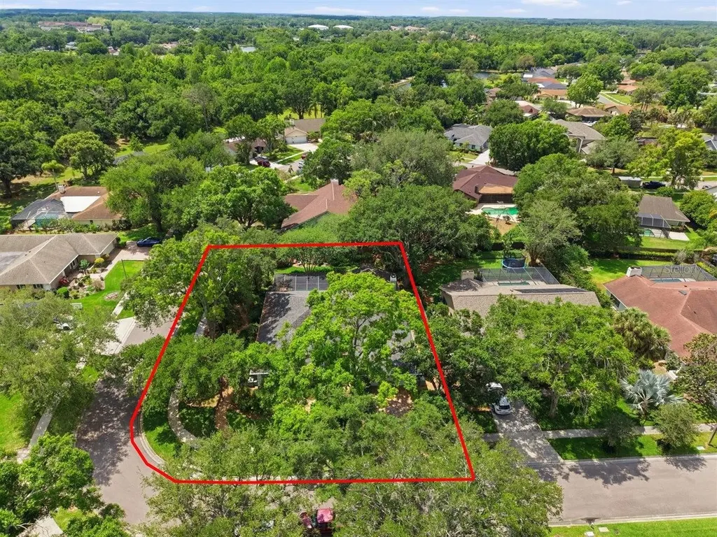 5046 Barrowe Drive Tampa FL 33624