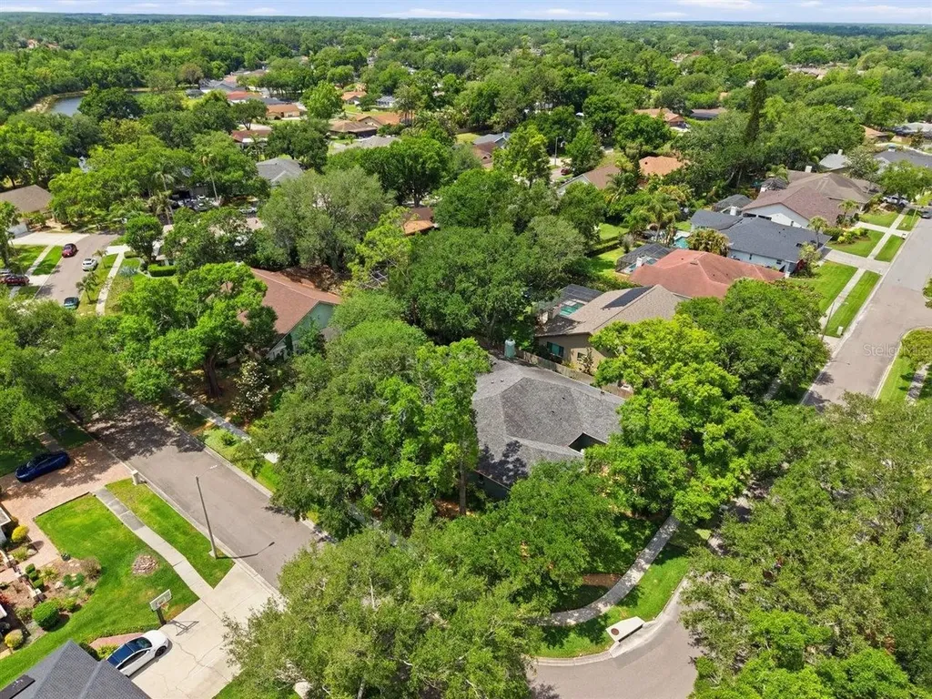5046 Barrowe Drive Tampa FL 33624