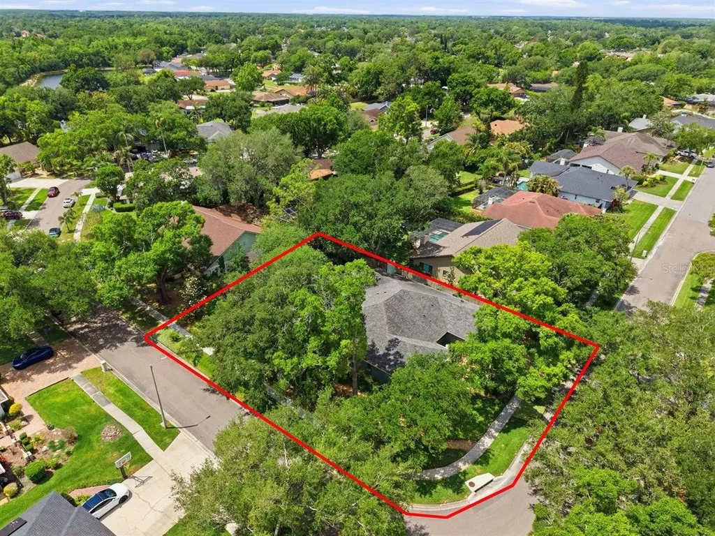 5046 Barrowe Drive Tampa FL 33624