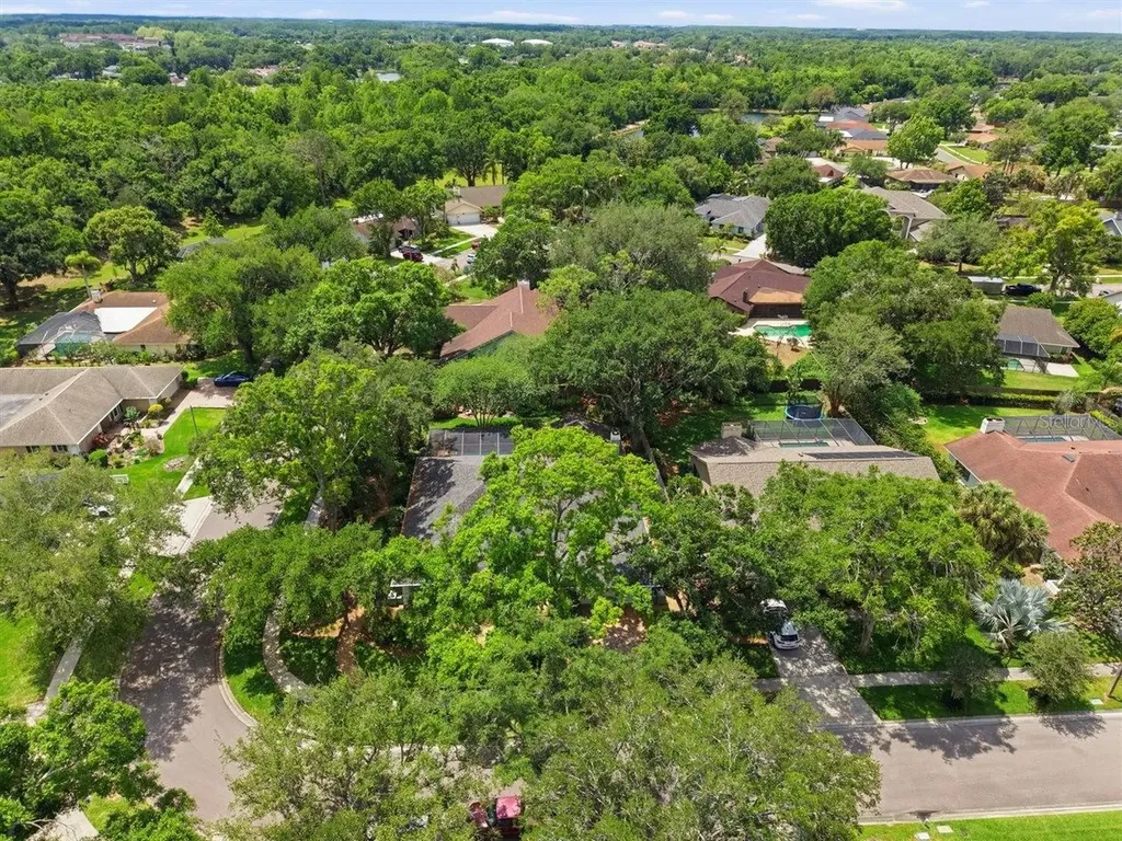 5046 Barrowe Drive Tampa FL 33624