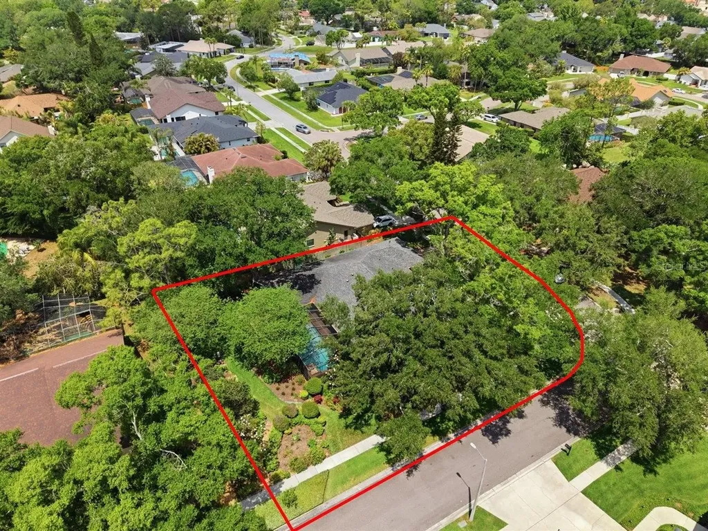 5046 Barrowe Drive Tampa FL 33624