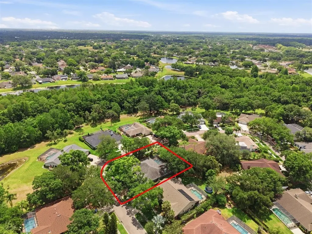 5046 Barrowe Drive Tampa FL 33624