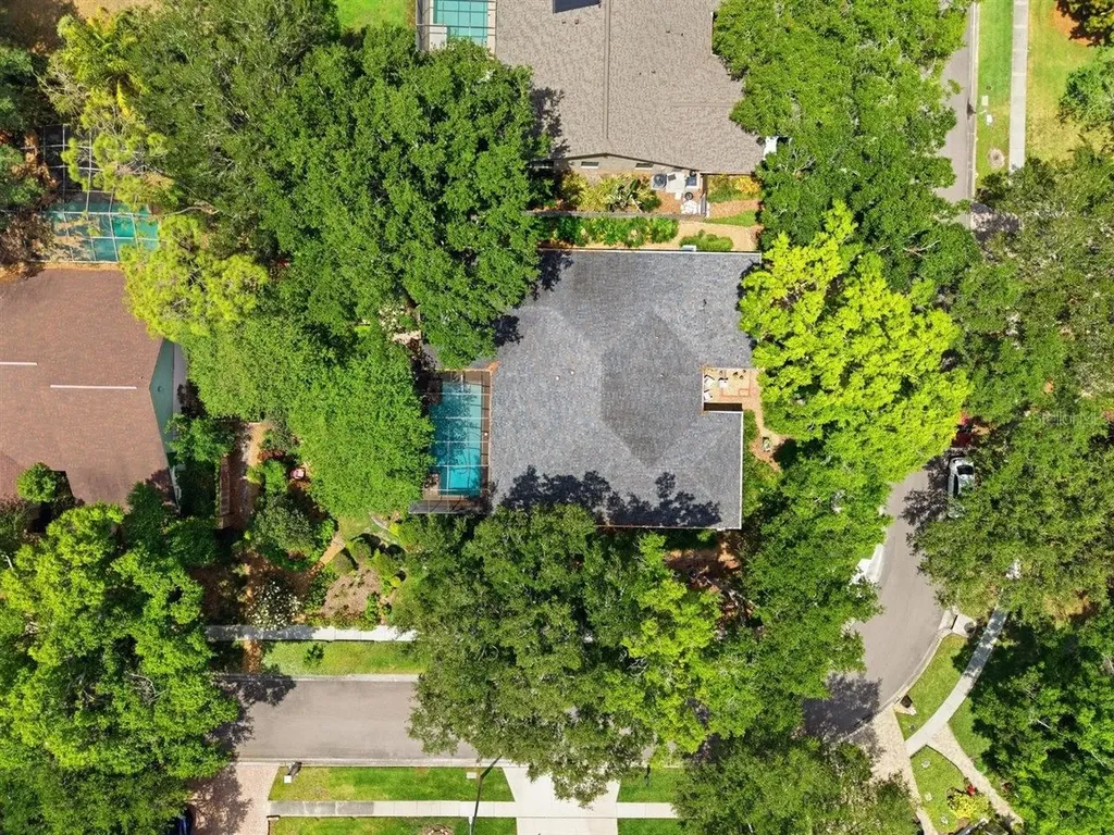 5046 Barrowe Drive Tampa FL 33624