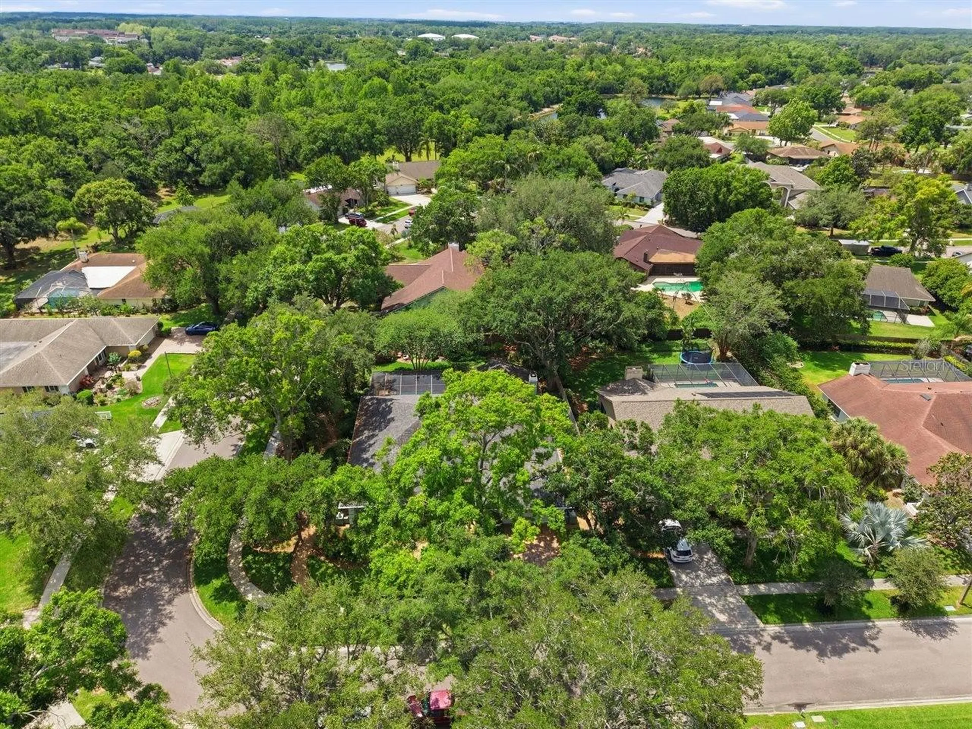 5046 Barrowe Drive Tampa FL 33624