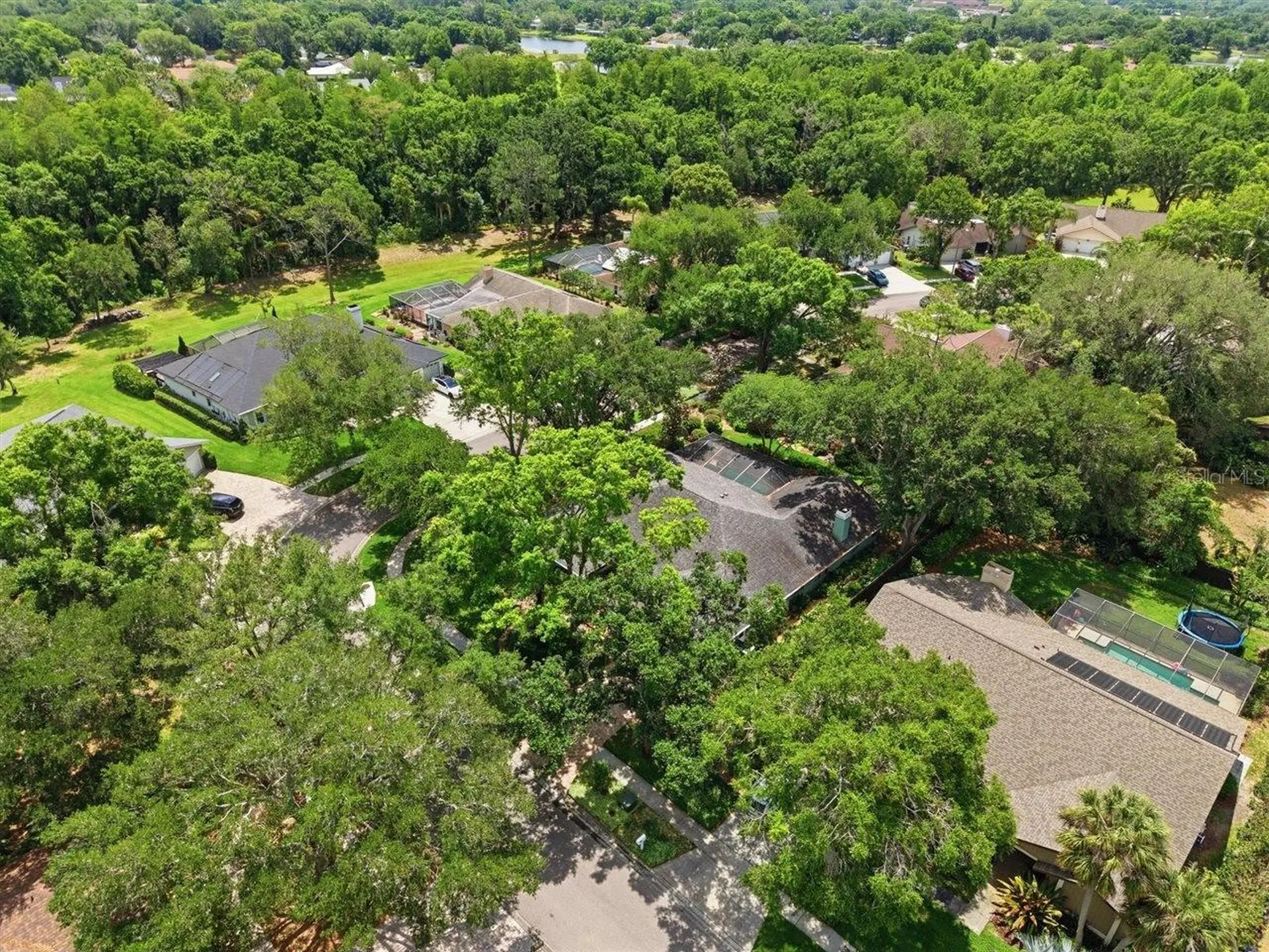 5046 Barrowe Drive Tampa FL 33624