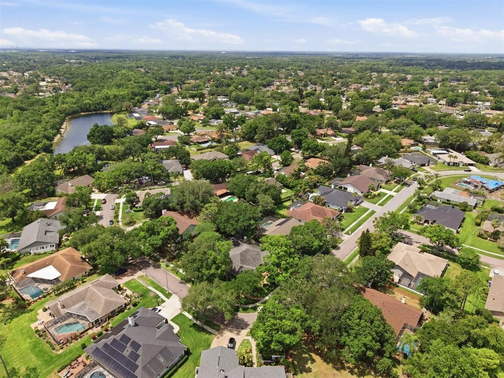 5046 Barrowe Drive Tampa FL 33624