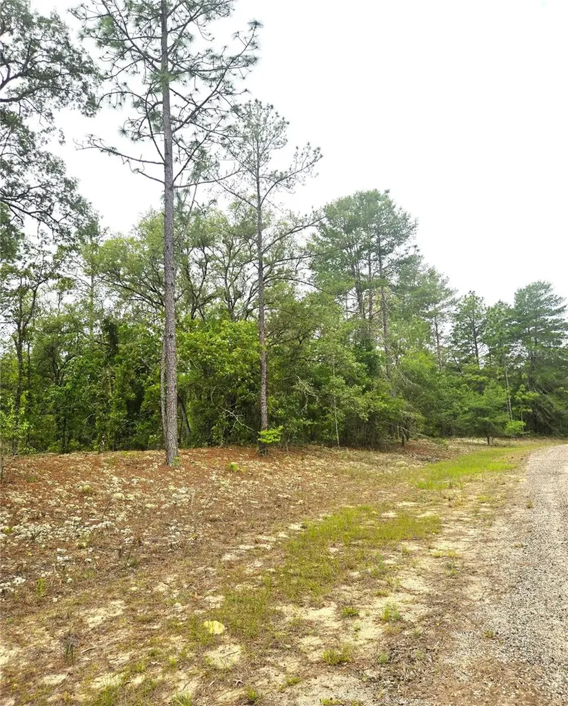 576 E Nemo Drive Dunnellon FL 34434