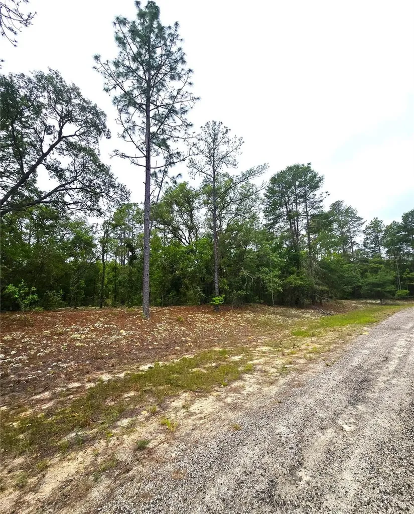 576 E Nemo Drive Dunnellon FL 34434