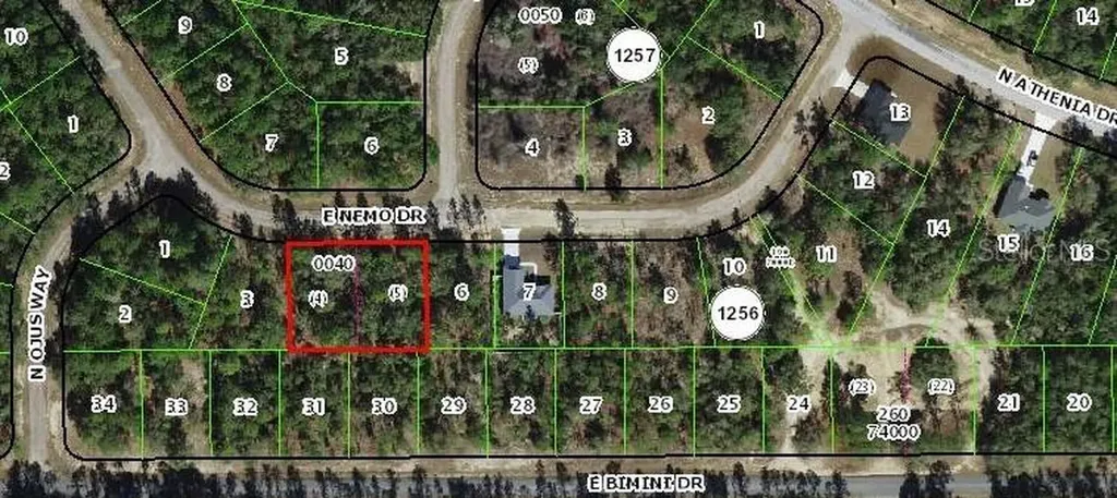 576 E Nemo Drive Dunnellon FL 34434