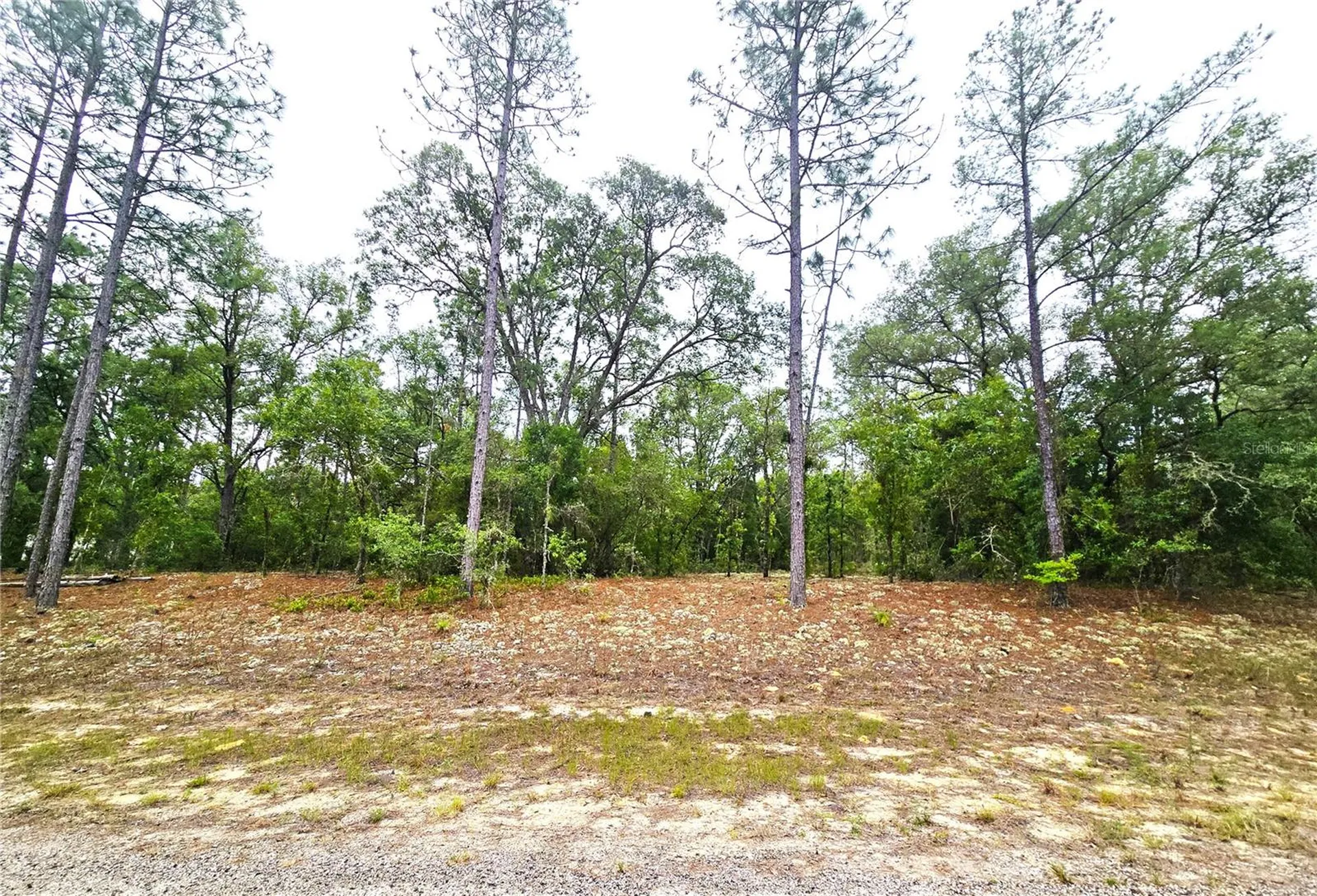 576 E Nemo Drive Dunnellon FL 34434