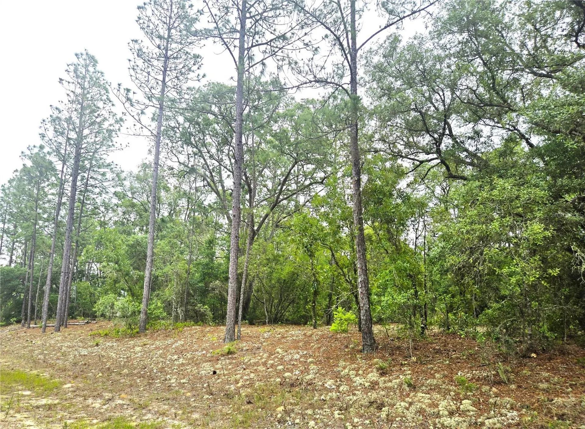 576 E Nemo Drive Dunnellon FL 34434