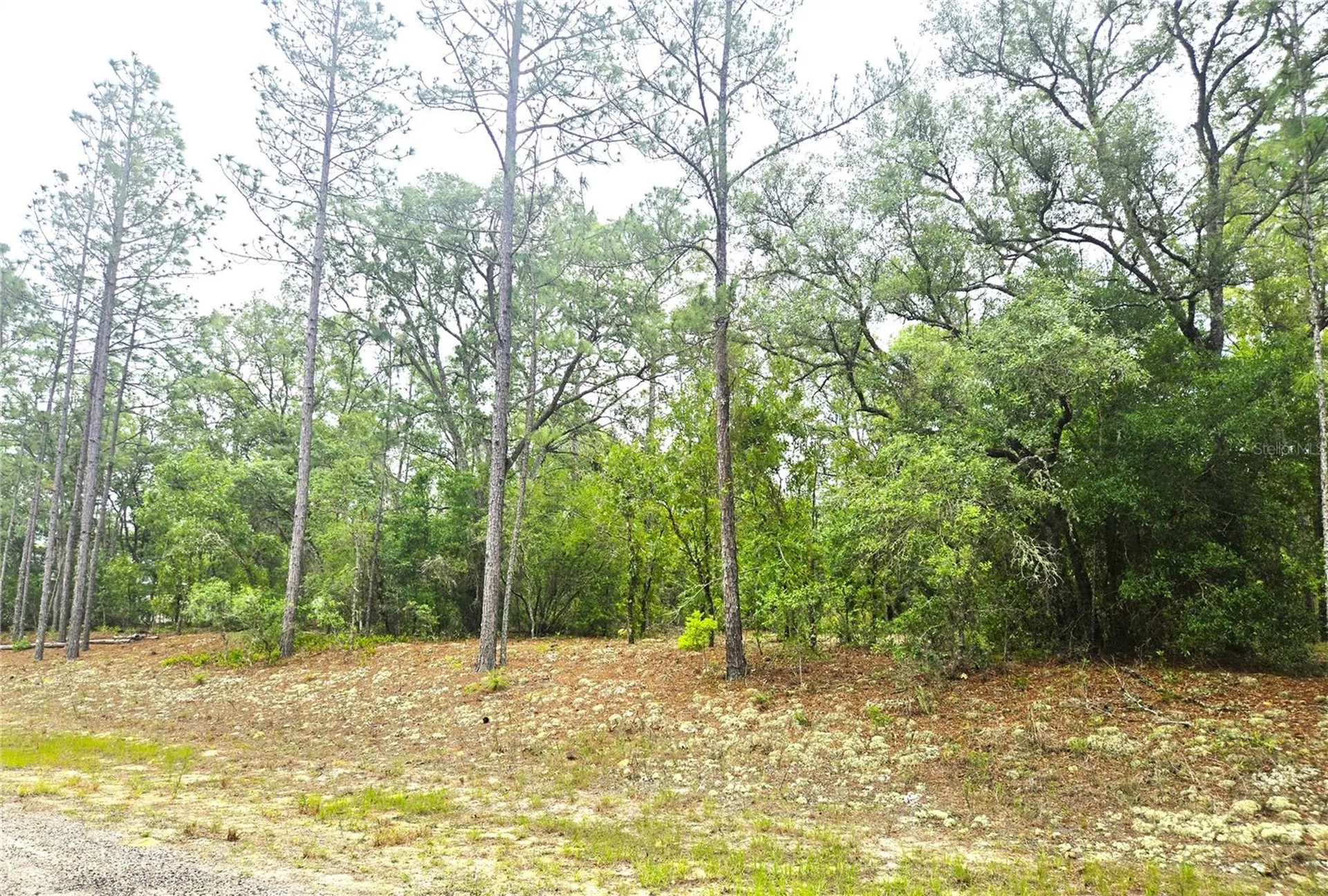 576 E Nemo Drive Dunnellon FL 34434