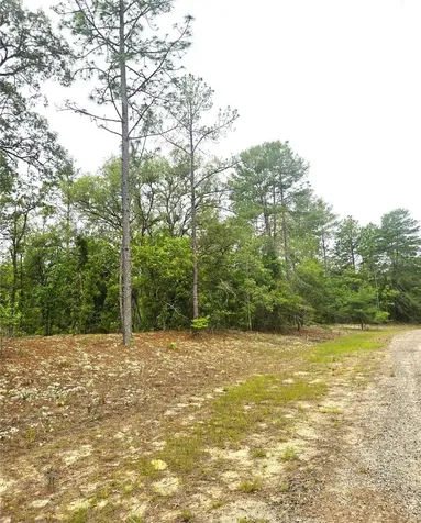 576 E Nemo Drive Dunnellon FL 34434