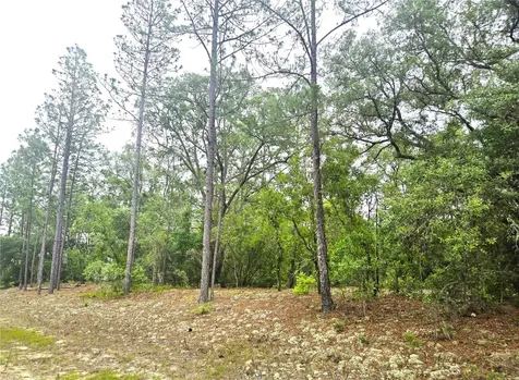 576 E Nemo Drive Dunnellon FL 34434