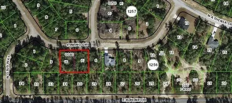 576 E Nemo Drive Dunnellon FL 34434