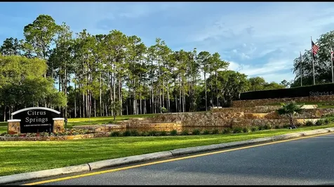 576 E Nemo Drive Dunnellon FL 34434