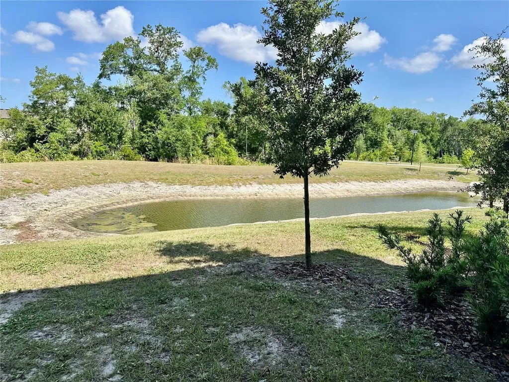 10981 Wishing Cloud Road Land O Lakes FL 34638
