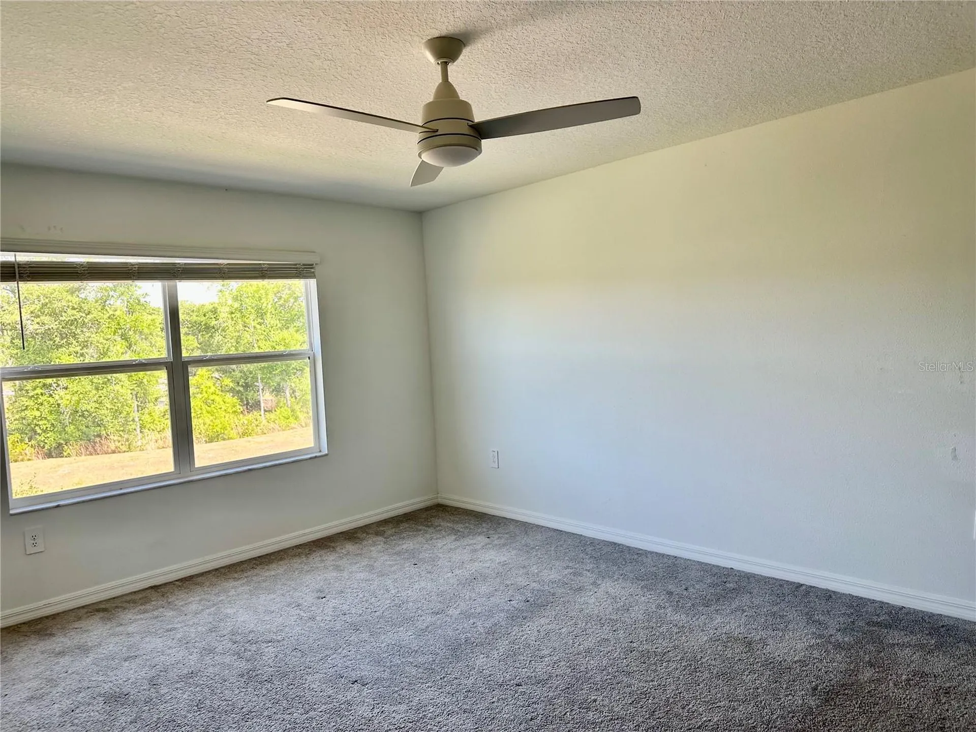 10981 Wishing Cloud Road Land O Lakes FL 34638