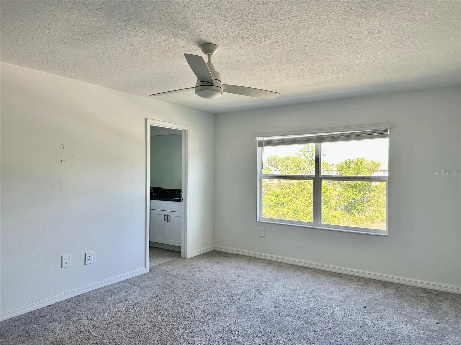 10981 Wishing Cloud Road Land O Lakes FL 34638
