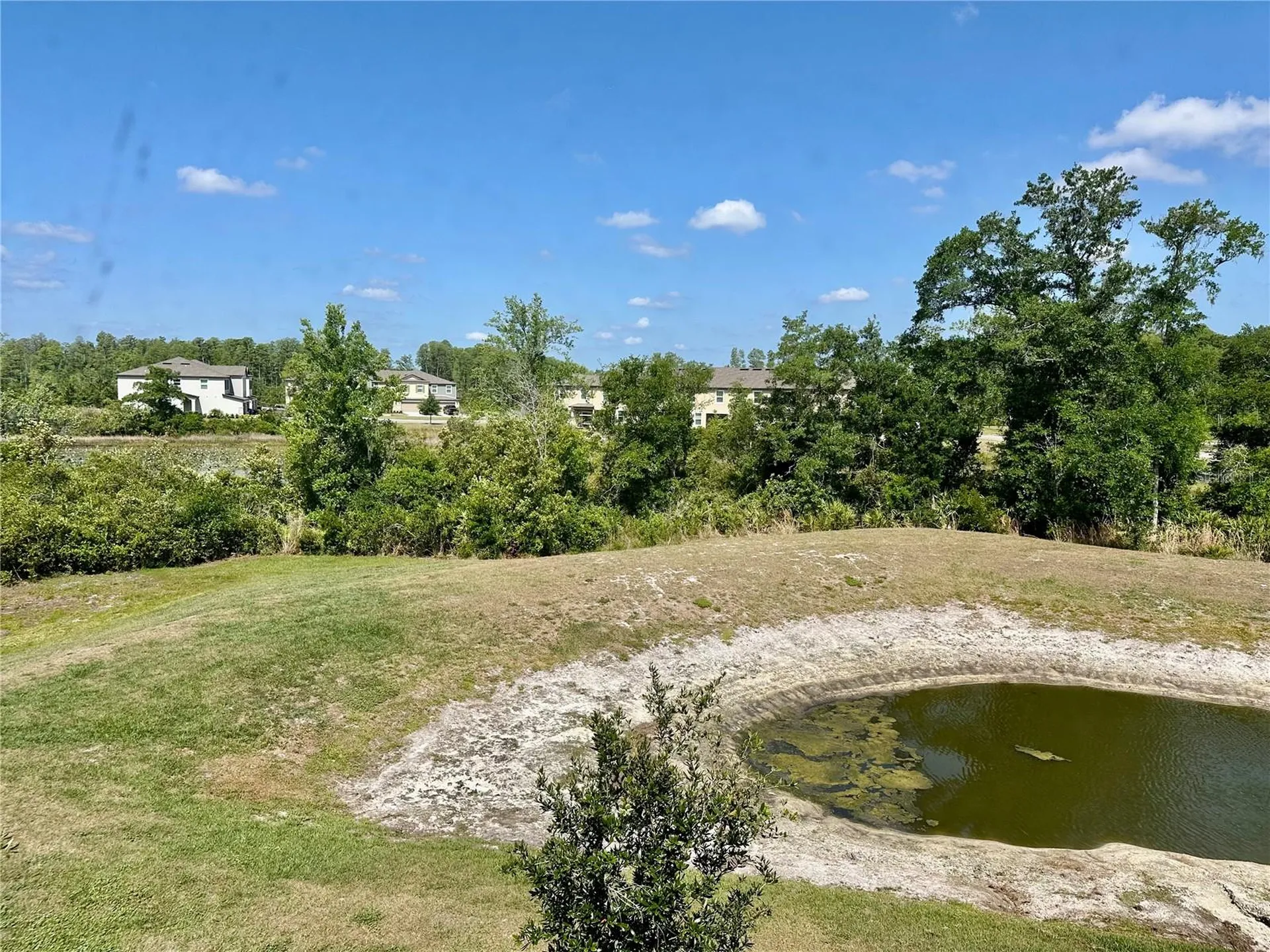 10981 Wishing Cloud Road Land O Lakes FL 34638