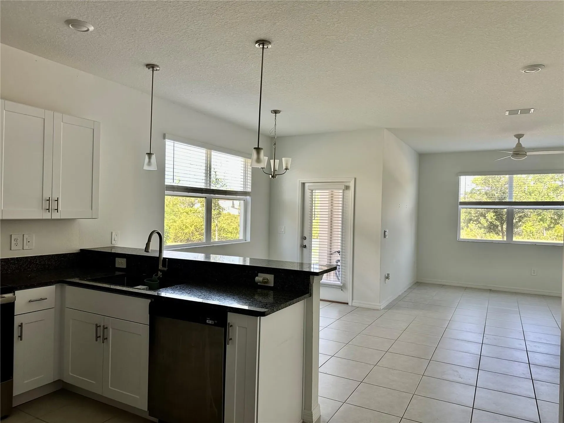 10981 Wishing Cloud Road Land O Lakes FL 34638