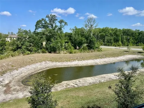 10981 Wishing Cloud Road Land O Lakes FL 34638