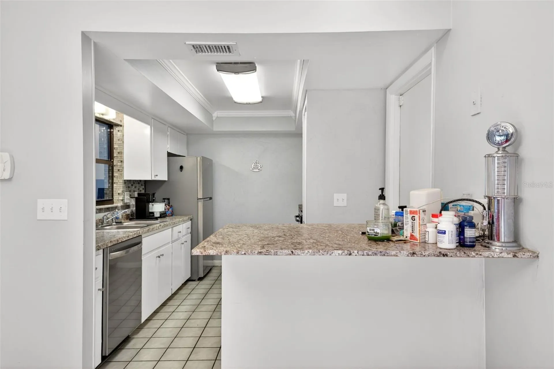 3862 NE 19th Street Circle Ocala FL 34470