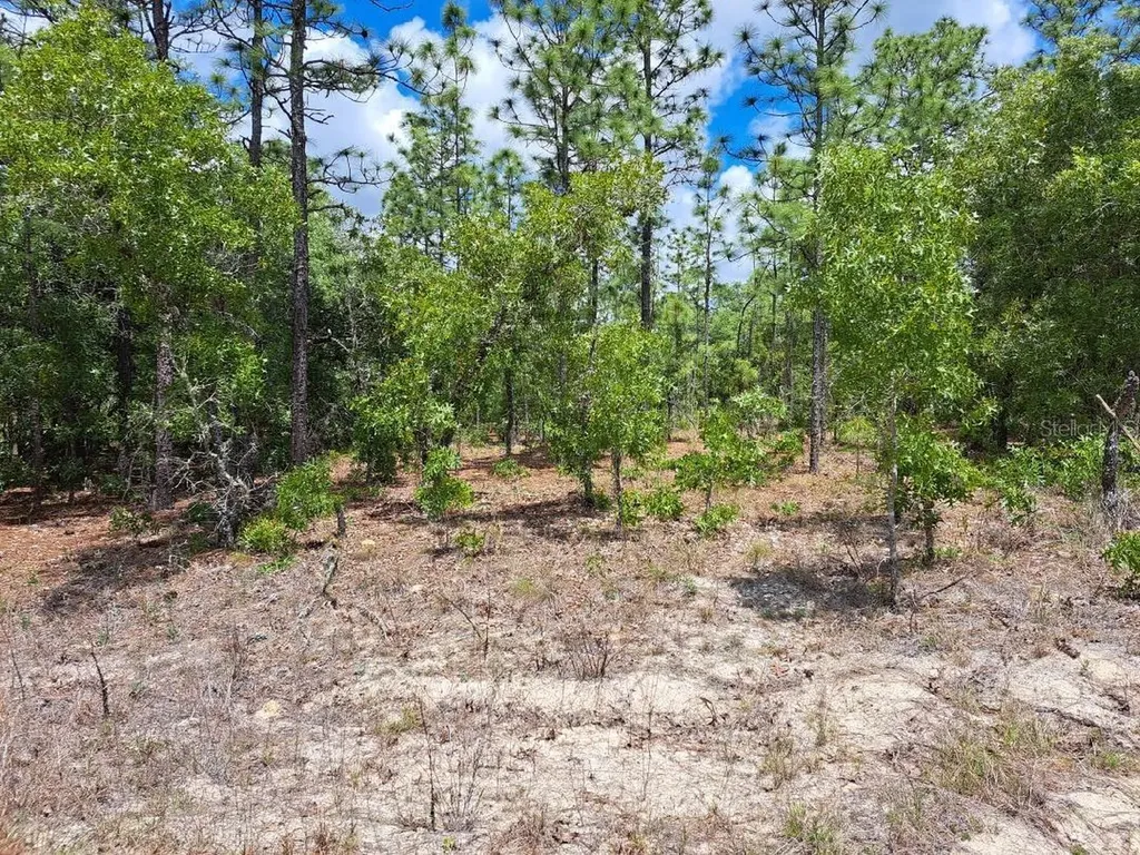 0 SW 125 Terrace Dunnellon FL 34432