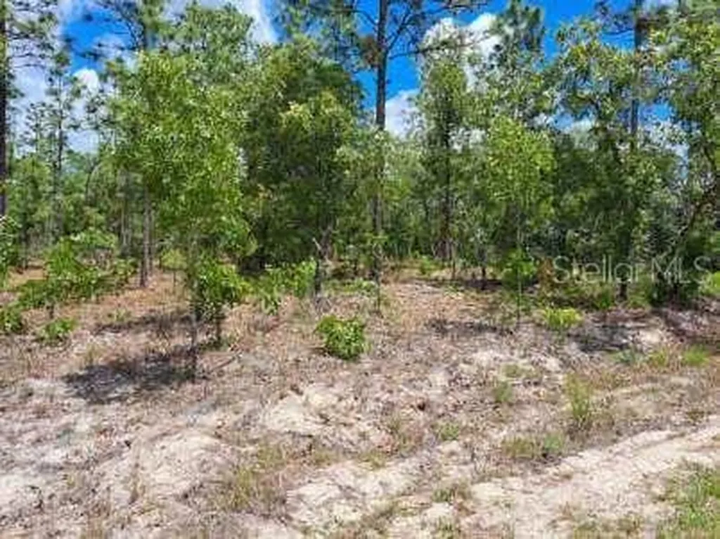 0 SW 125 Terrace Dunnellon FL 34432