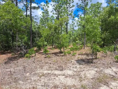 0 SW 125 Terrace Dunnellon FL 34432