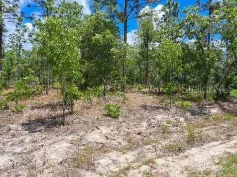 0 SW 125 Terrace Dunnellon FL 34432