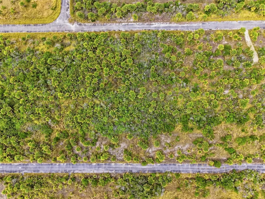 1553 Alcova Street SW Palm Bay FL 32908