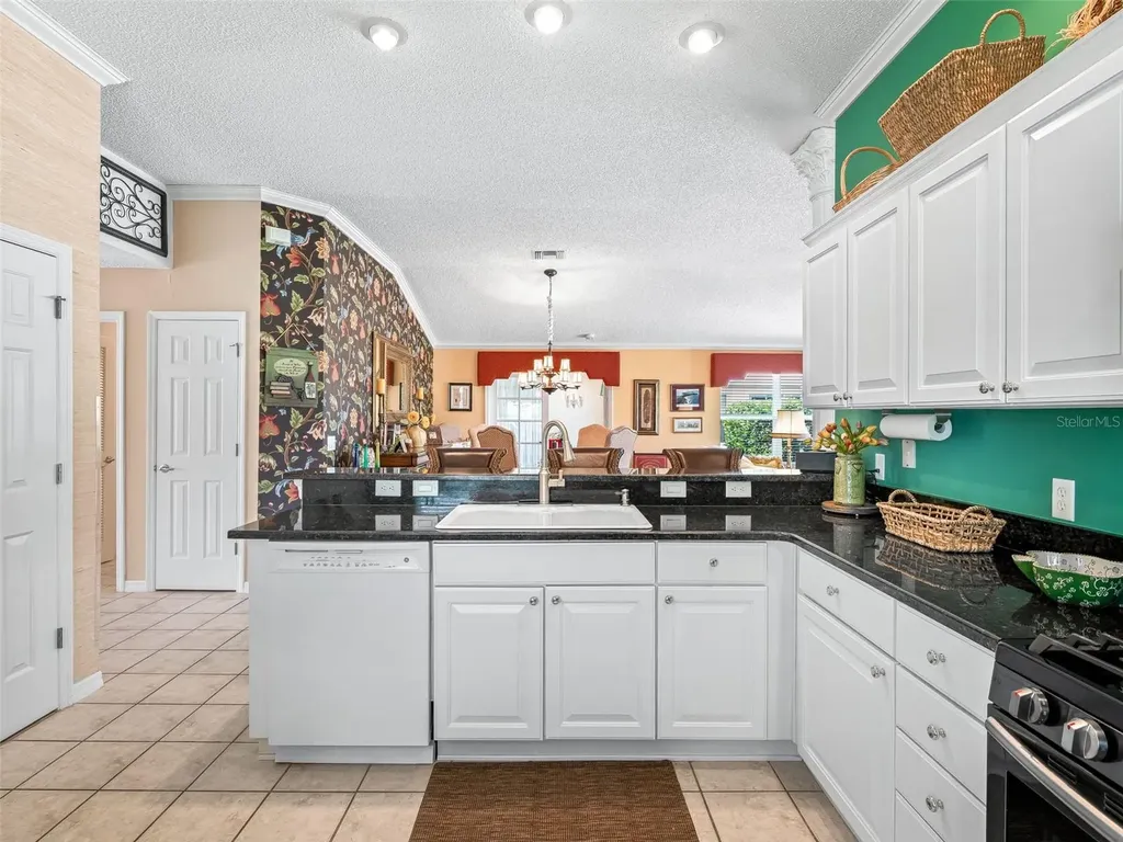 16829 SE 84th Colerain Circle The Villages FL 32162