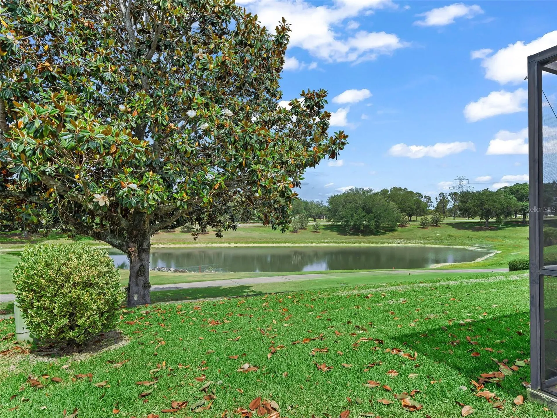 16829 SE 84th Colerain Circle The Villages FL 32162