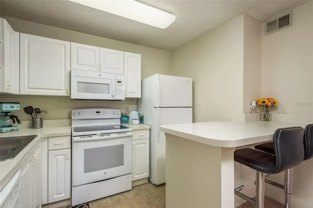 4107 Chatham Oak Court Tampa FL 33624