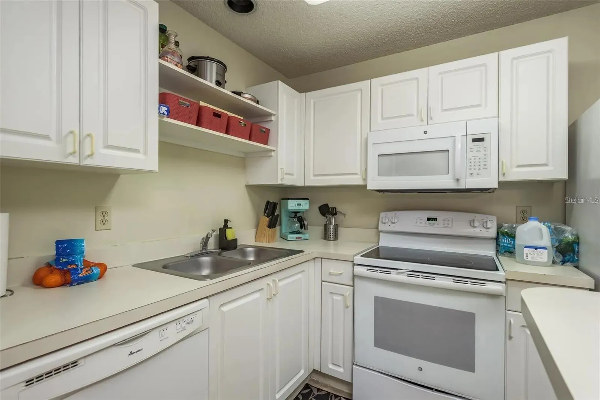 4107 Chatham Oak Court Tampa FL 33624