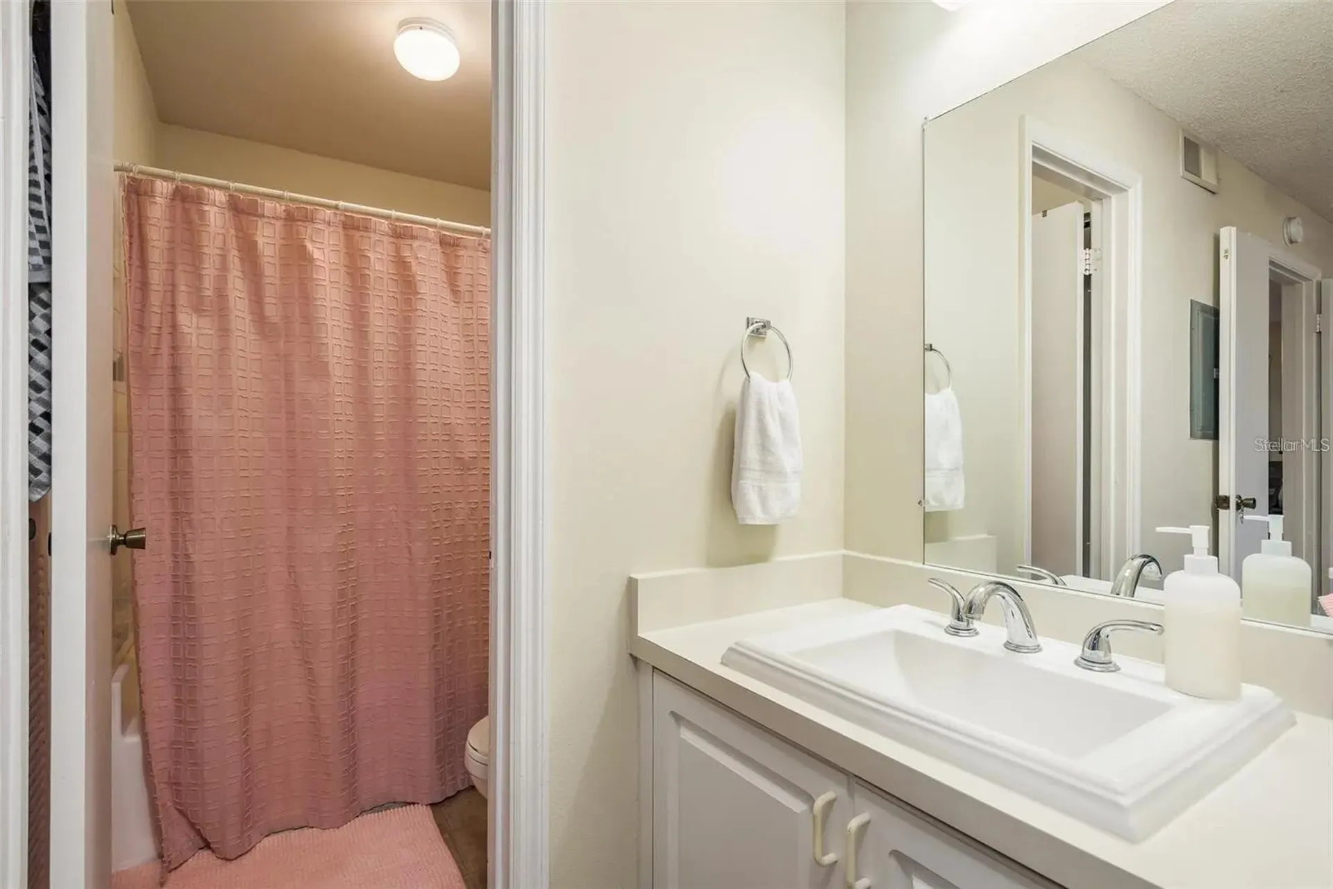 4107 Chatham Oak Court Tampa FL 33624