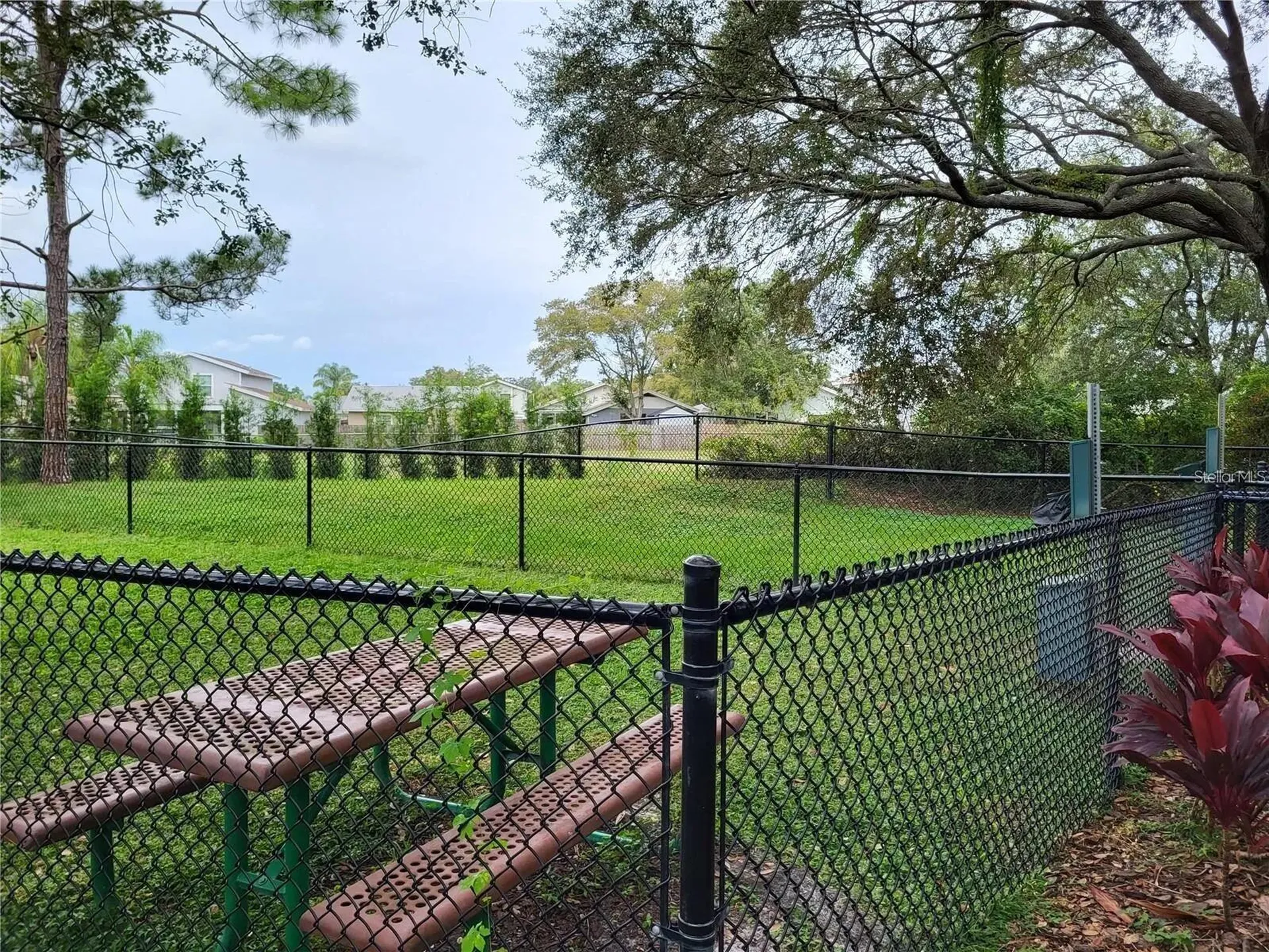 4107 Chatham Oak Court Tampa FL 33624
