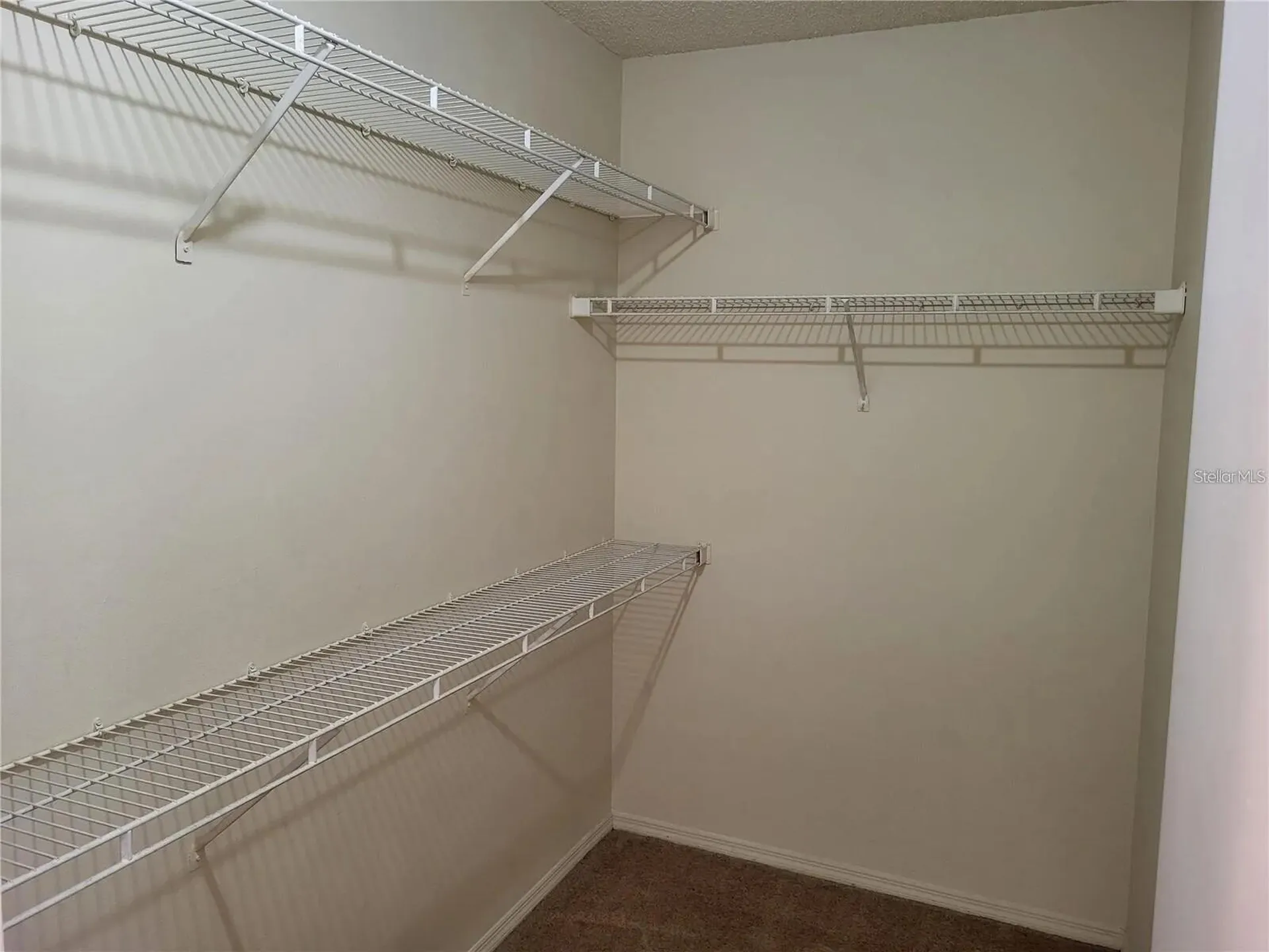 4107 Chatham Oak Court Tampa FL 33624
