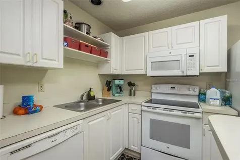 4107 Chatham Oak Court Tampa FL 33624