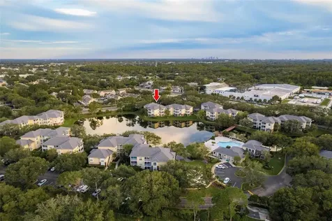 4107 Chatham Oak Court Tampa FL 33624