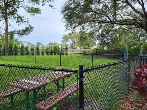 4107 Chatham Oak Court Tampa FL 33624