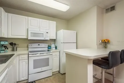 4107 Chatham Oak Court Tampa FL 33624